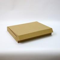 Коробка картонна 300 х 250 х 50 мм, самозбірна